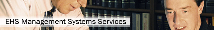EHS Management Systems Services